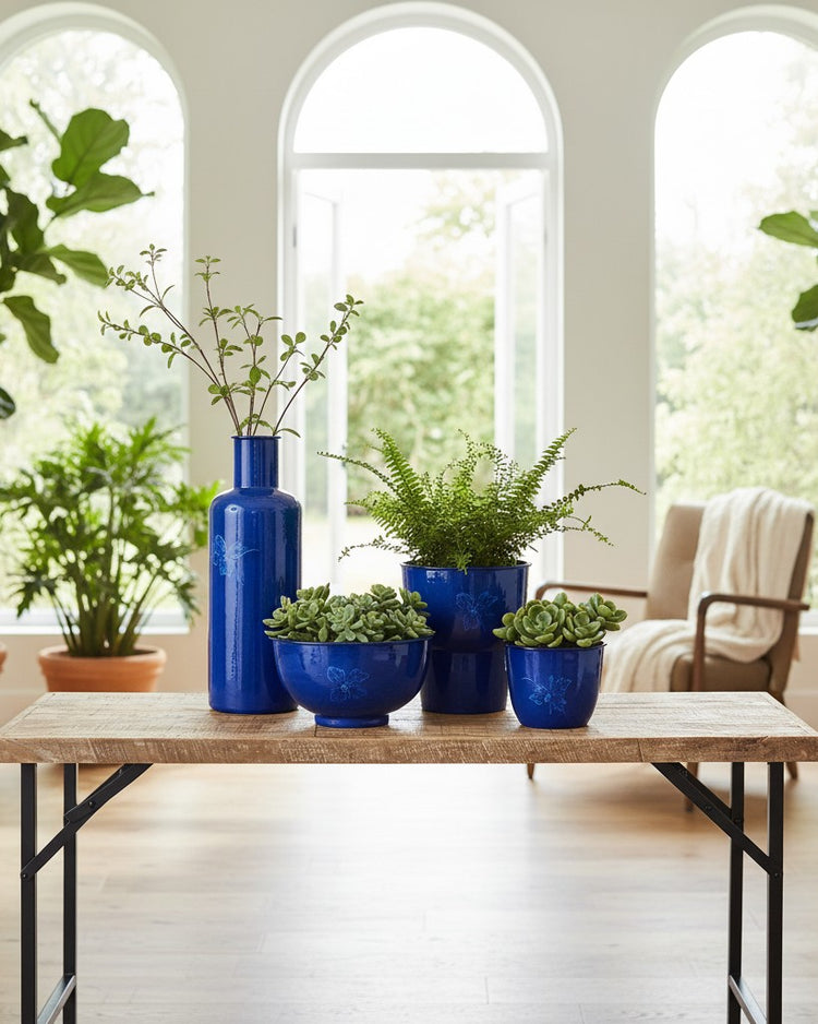 Groene Oase: Natuurlijke Harmonie