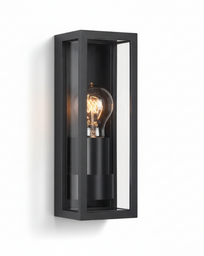 Industriële buitenwandlamp Tess zwart met helder glas